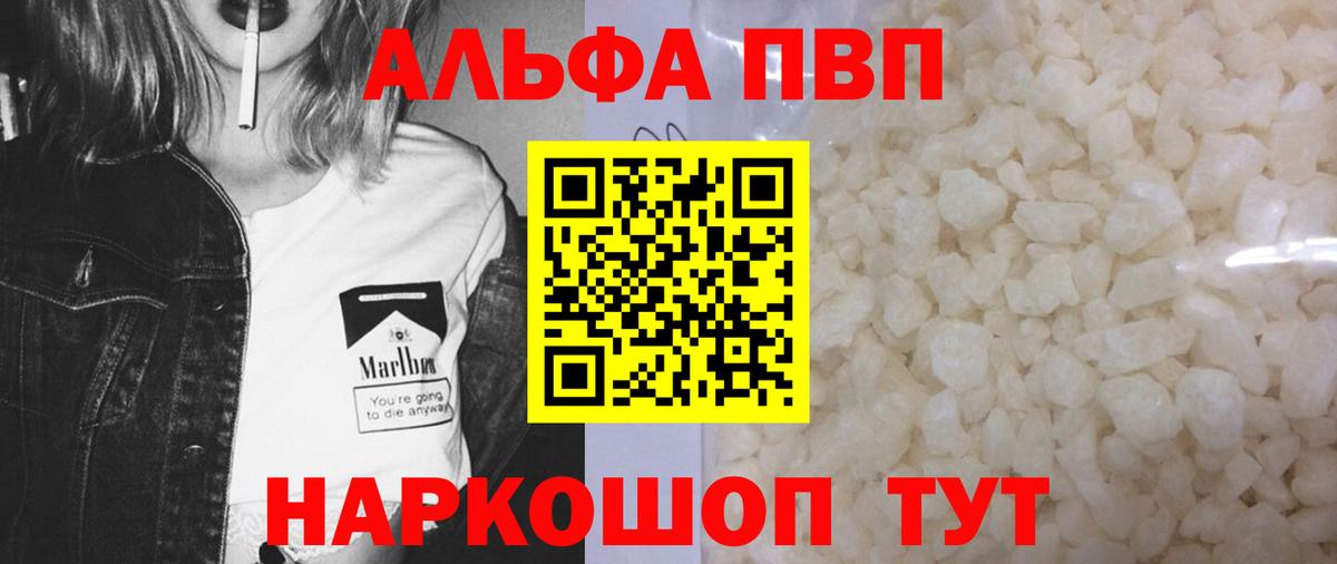 Альфа ПВП СК КРИС Сыктывкар