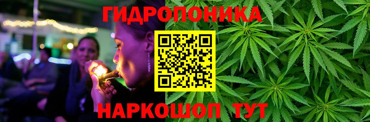 Бошки Шишки гибрид Сыктывкар